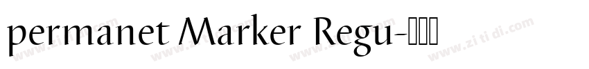 permanet Marker Regu字体转换